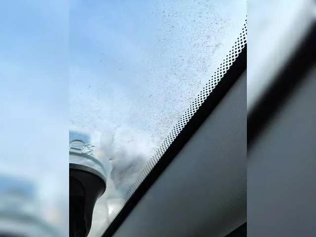 Freechat Angelia22 on BongaCams