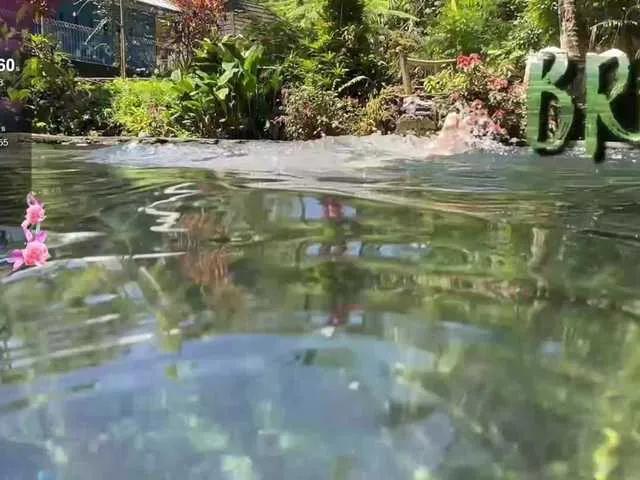 Discover BongaCams's Anuskatz Anuskatz from BongaCams