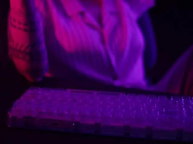 Join BongaCams's DianaMurr DianaMurr from BongaCams