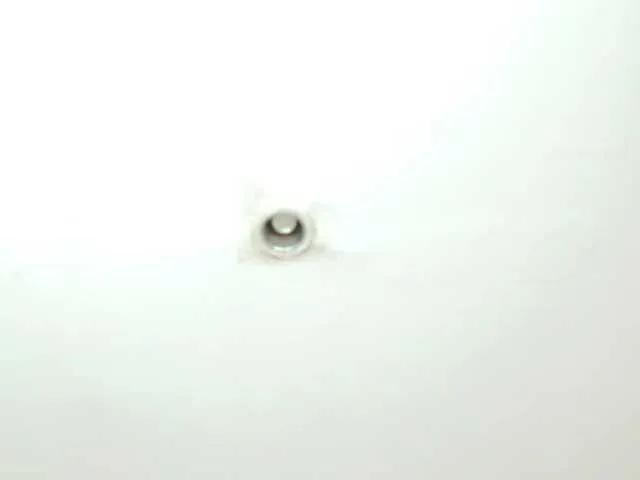 drooling4daddy on BongaCams