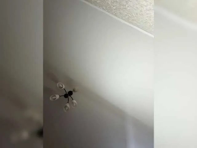 HellMor on BongaCams