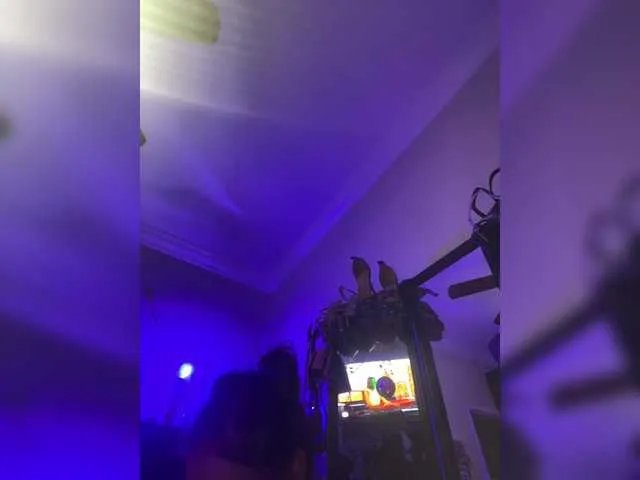 Freechat TheDime on BongaCams