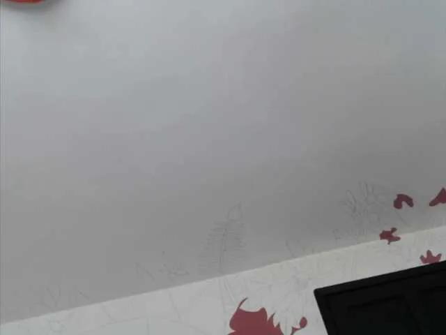 Freechat Wtwins on BongaCams