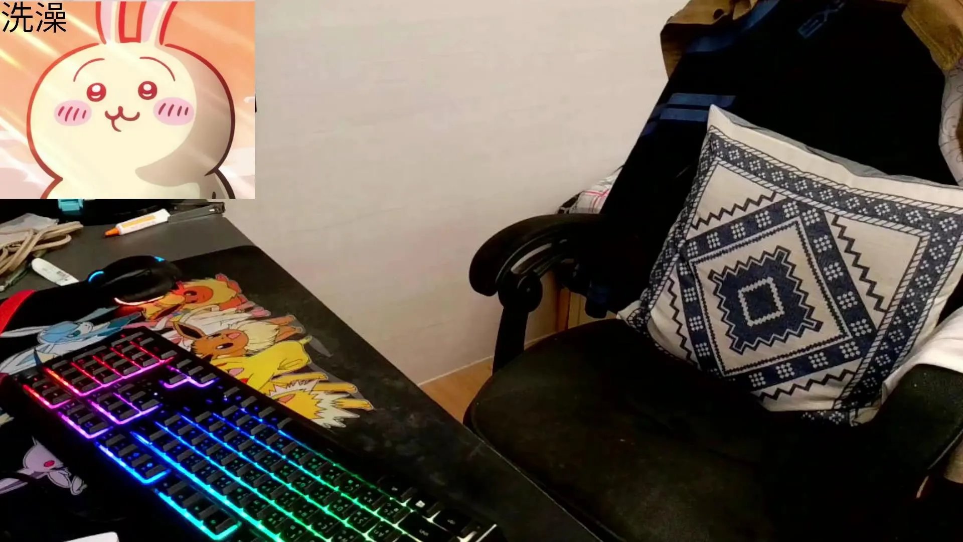 Offline 23355663 on Cam4