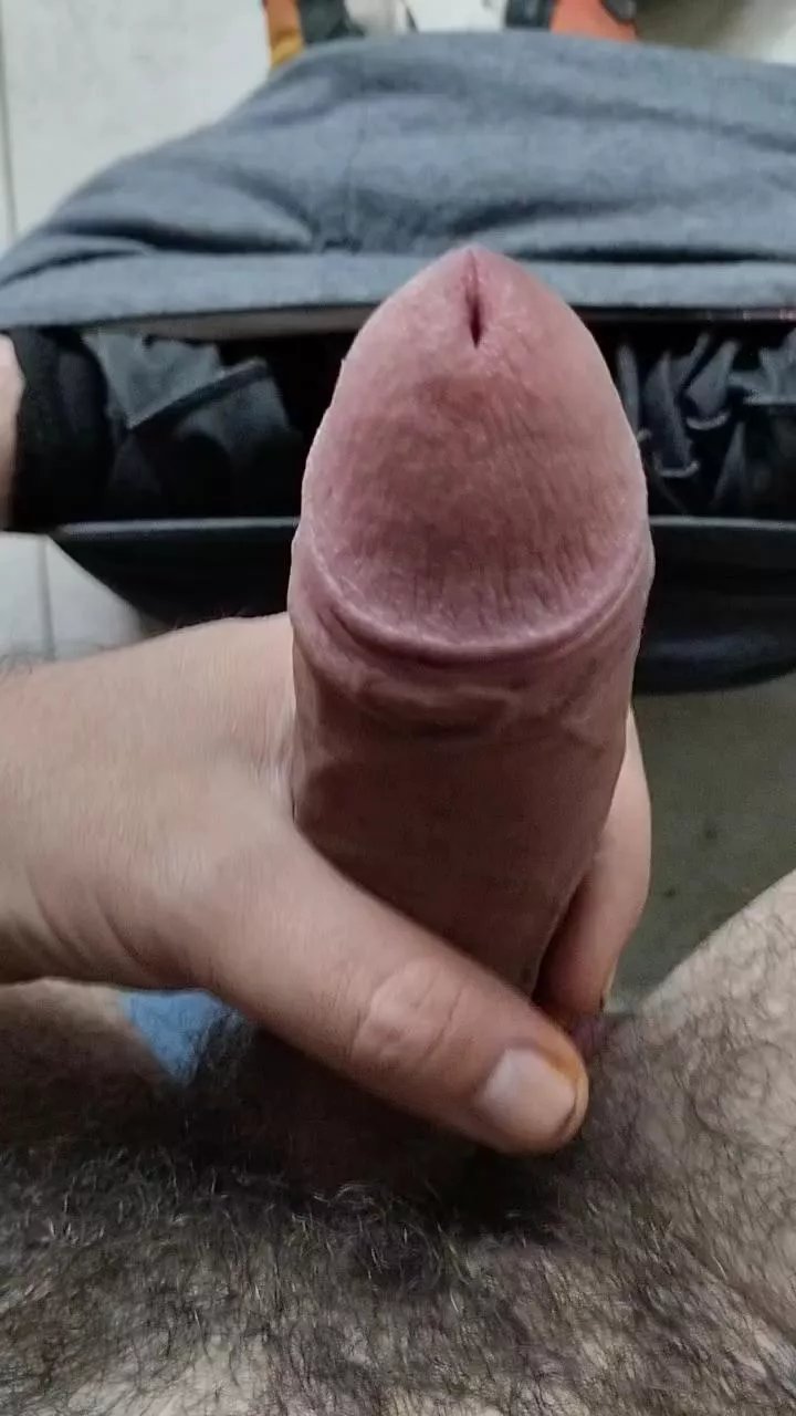 Offline Contigosverga on Cam4