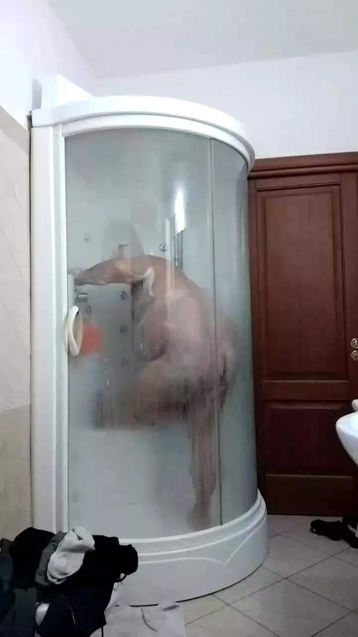 daariu on Cam4 