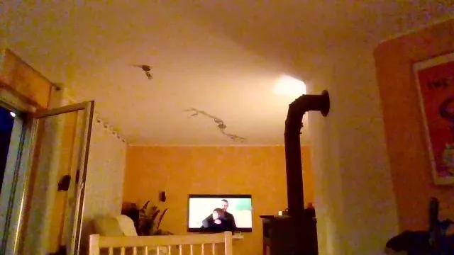 daniel6303 on Cam4 