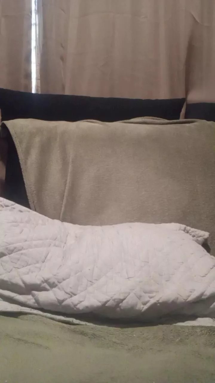 Offline igoramorimgg on Cam4