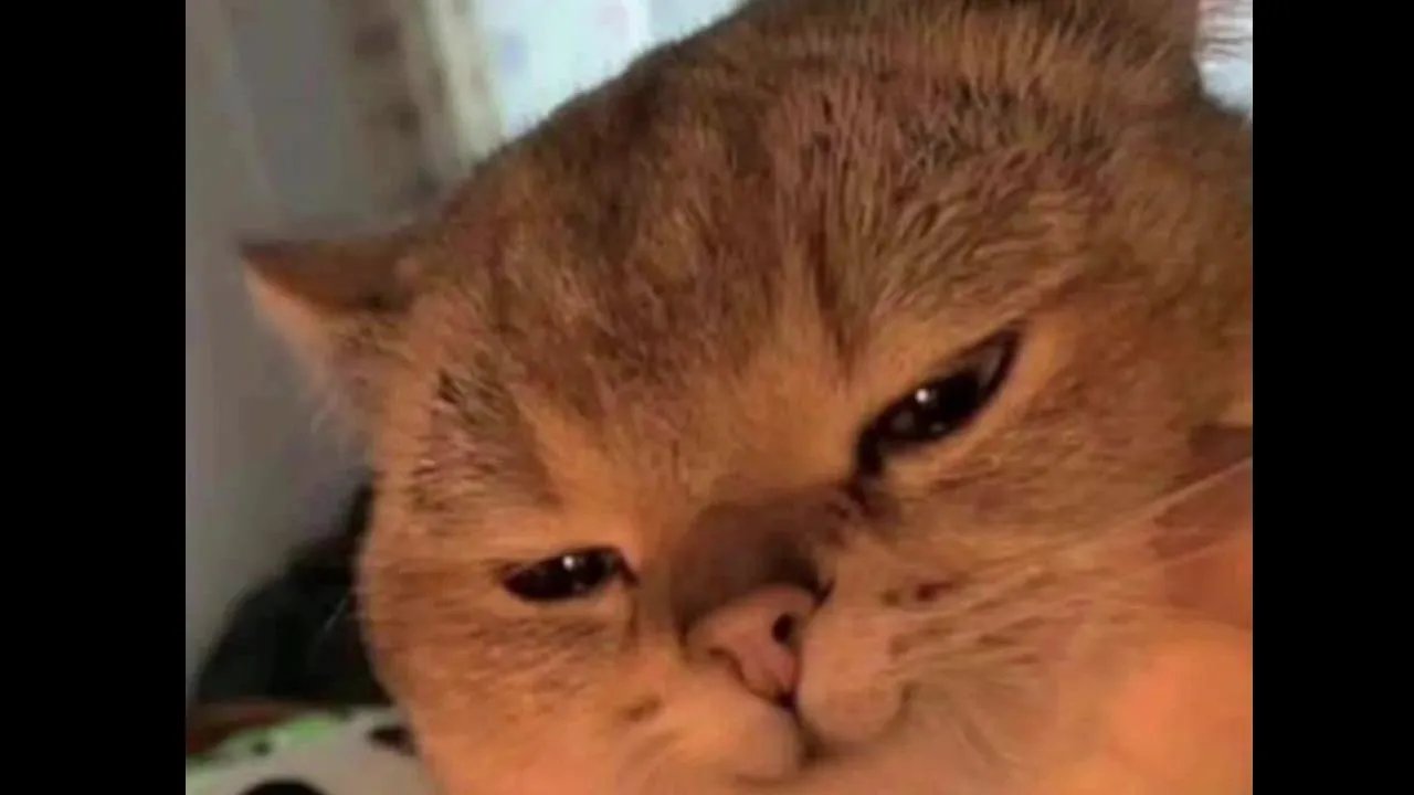 Offline lQAQl on Cam4