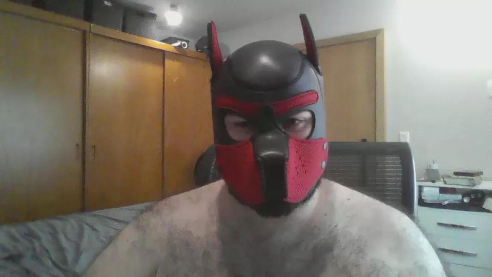 LucasBear92 on Cam4 