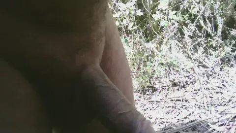 moreno5503 on Cam4 