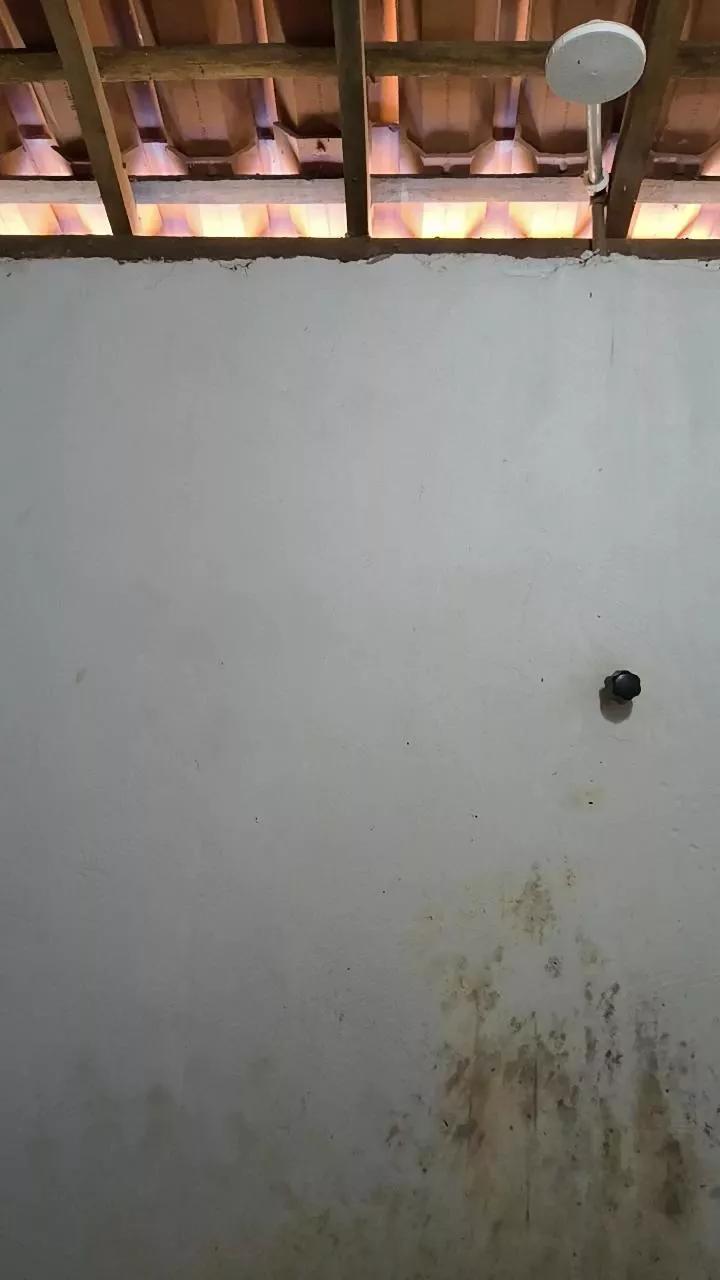 NovinPauzudoo on Cam4 