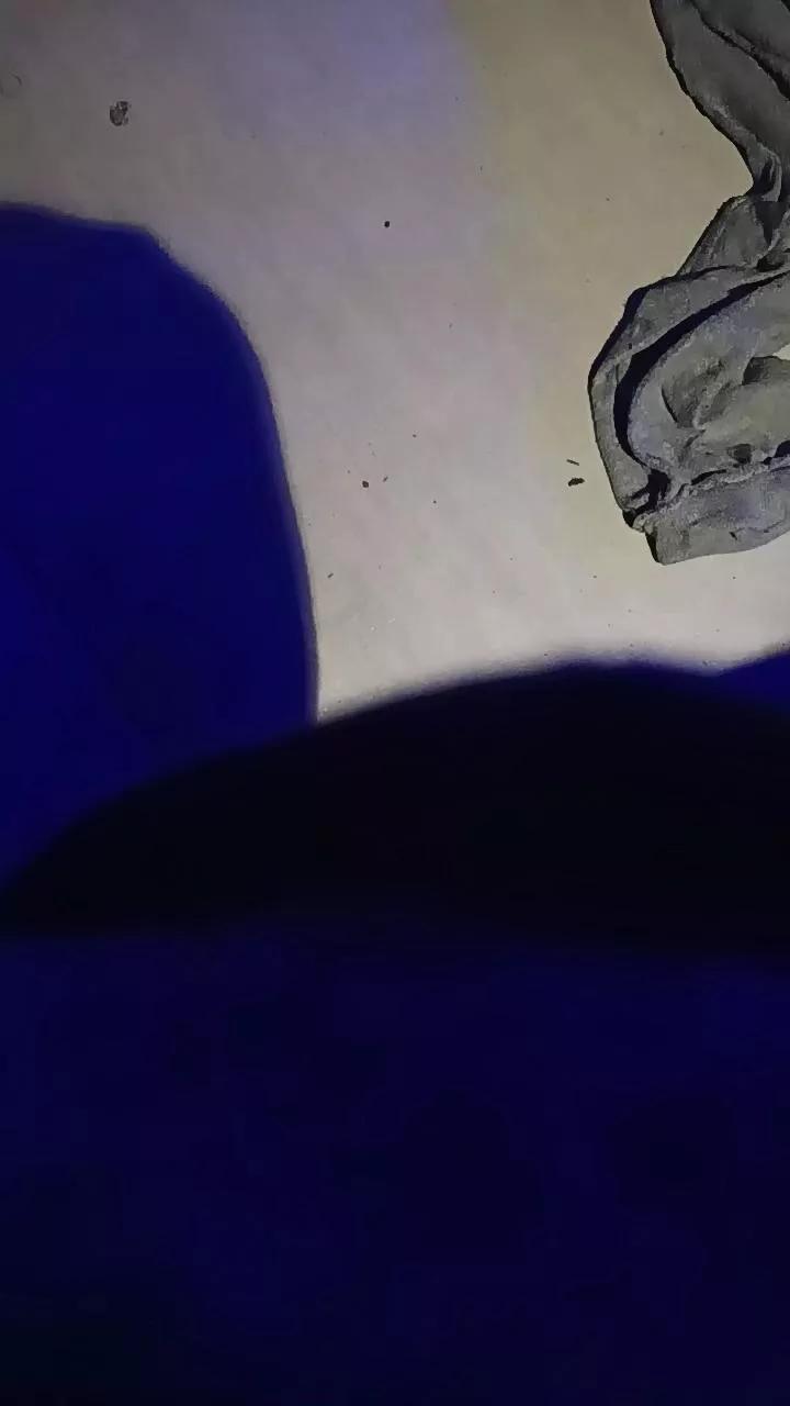 pissriot on Cam4 