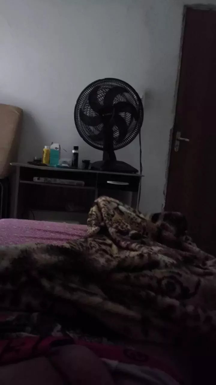 Offline Ronaldogostoso on Cam4