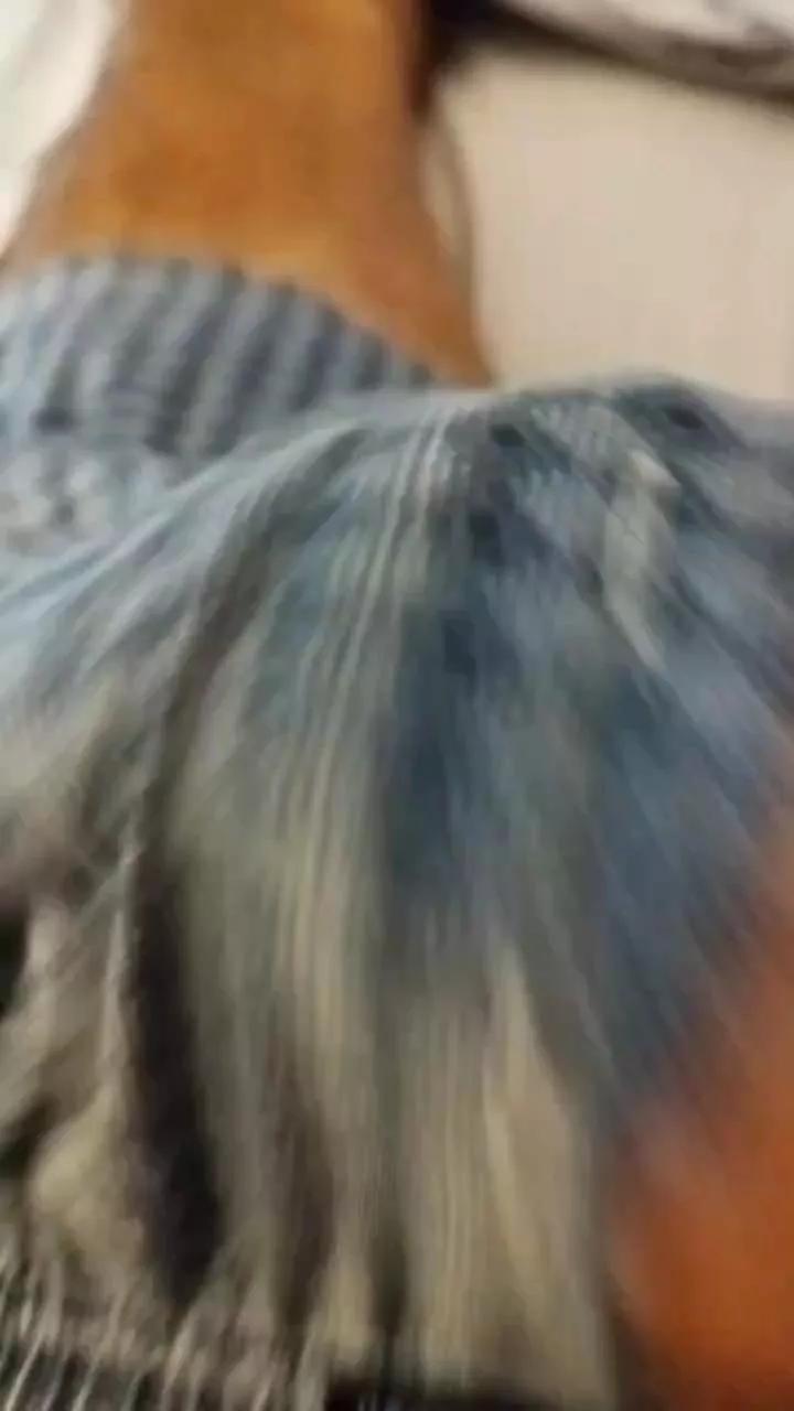 stefan519 on Cam4 