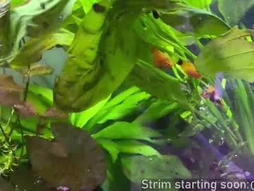 Discover Chaturbate's Booker_baxton booker_baxton from Chaturbate