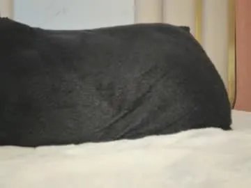 Freechat hornyjoy_ on Chaturbate