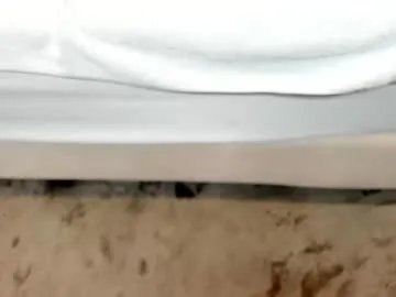 Group zara_lopez on Chaturbate