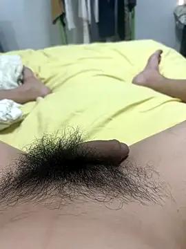 dahai147258 on StripChat