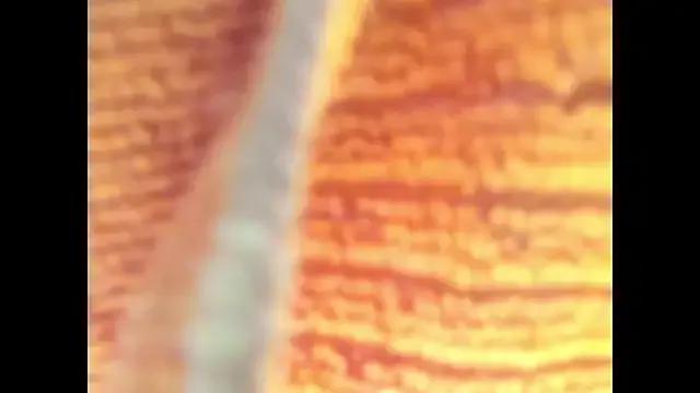 Discover 23 years old Goddes_any from StripChat Goddes_any from StripChat