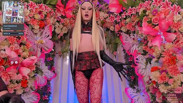 Admire 23 years old SpicySluts from StripChat SpicySluts from StripChat