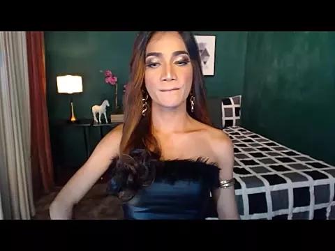 WildestDreamTS on StripChat 